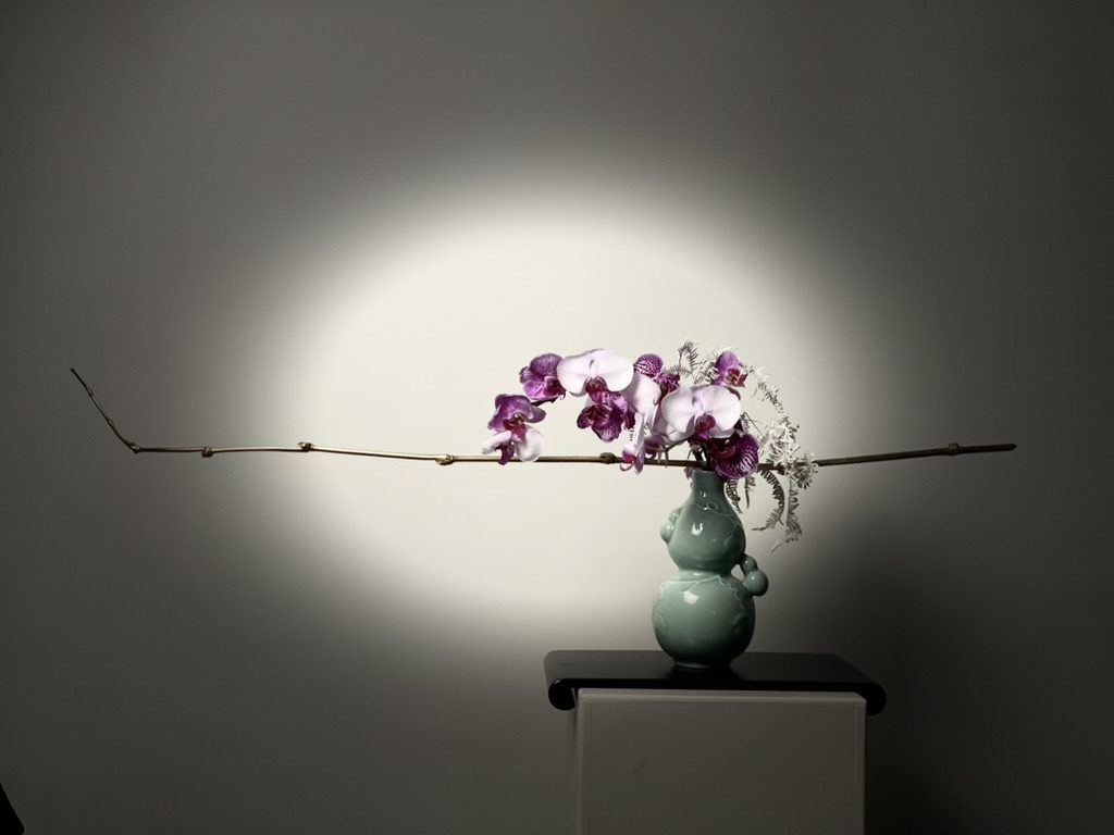 Orchids, bamboo & bleached fern