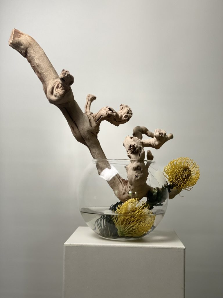 Driftwood & pincushion protea