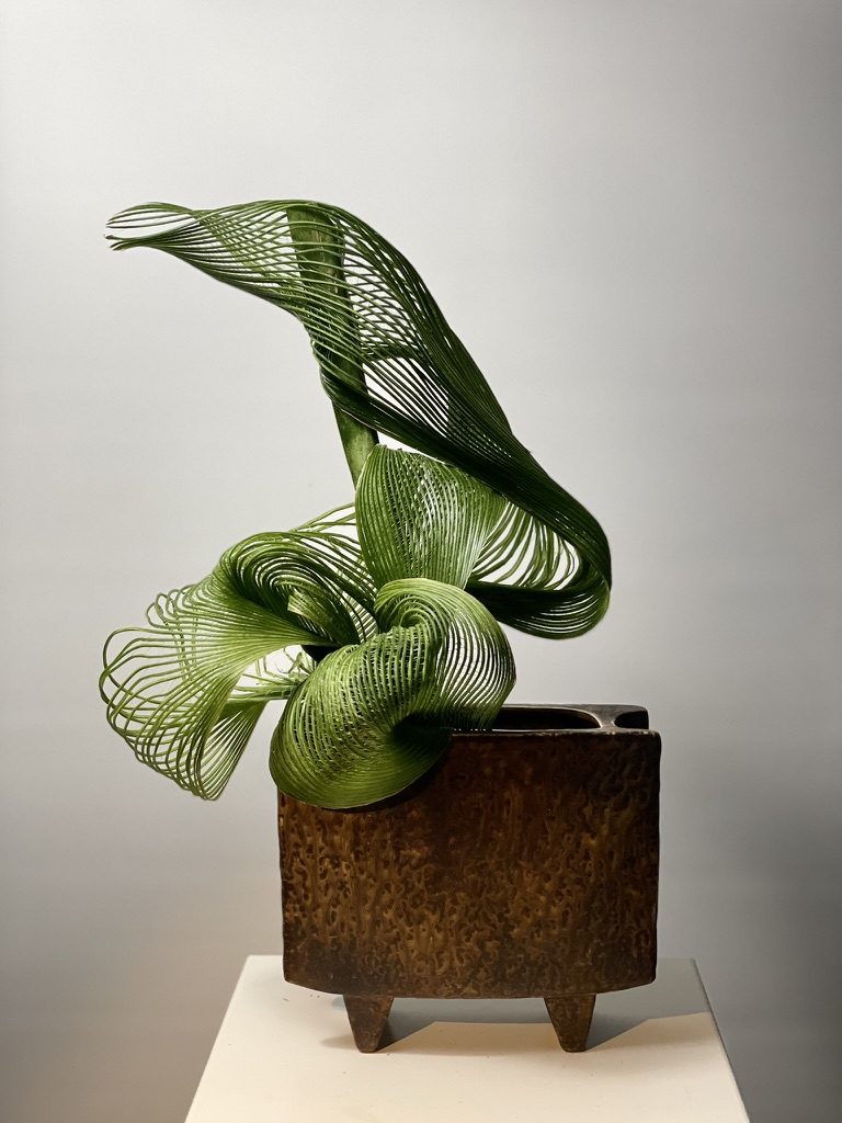 Snake-plant leaves