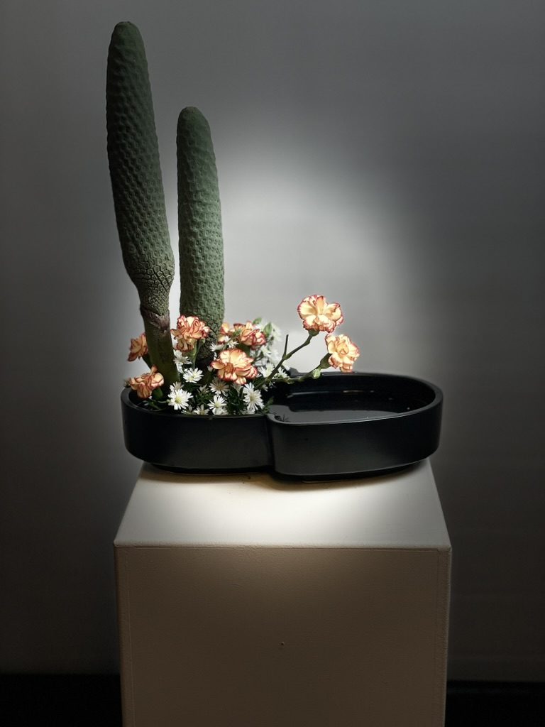 Carnations, aster & monstera