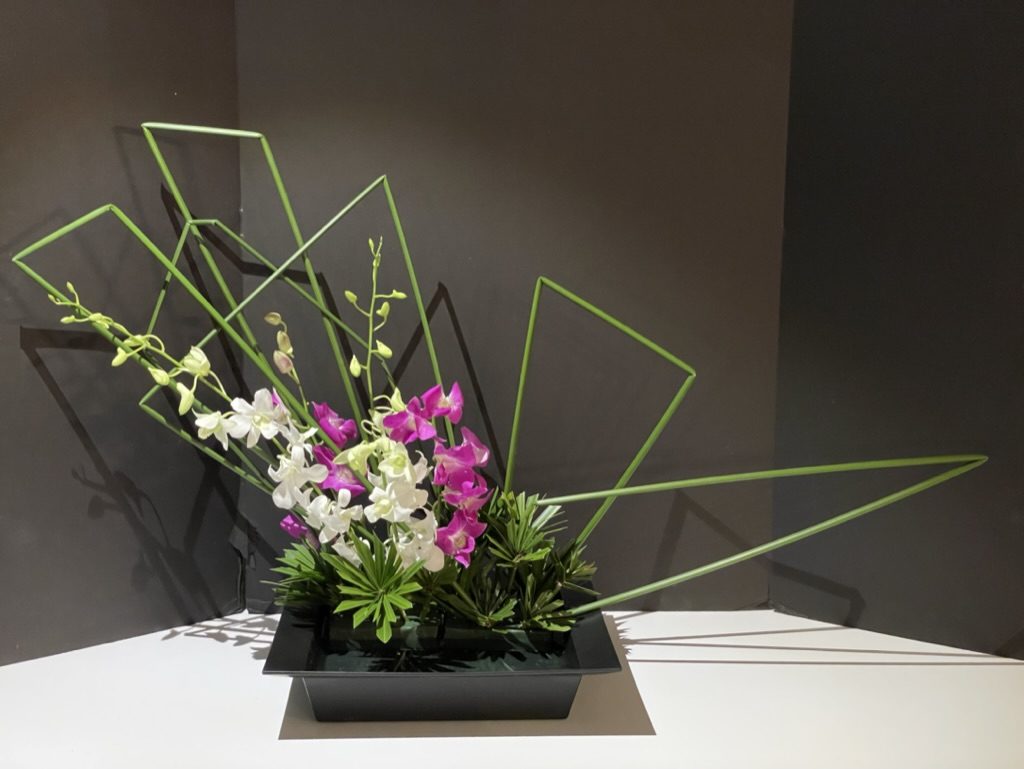 Orchids & umbrella palms