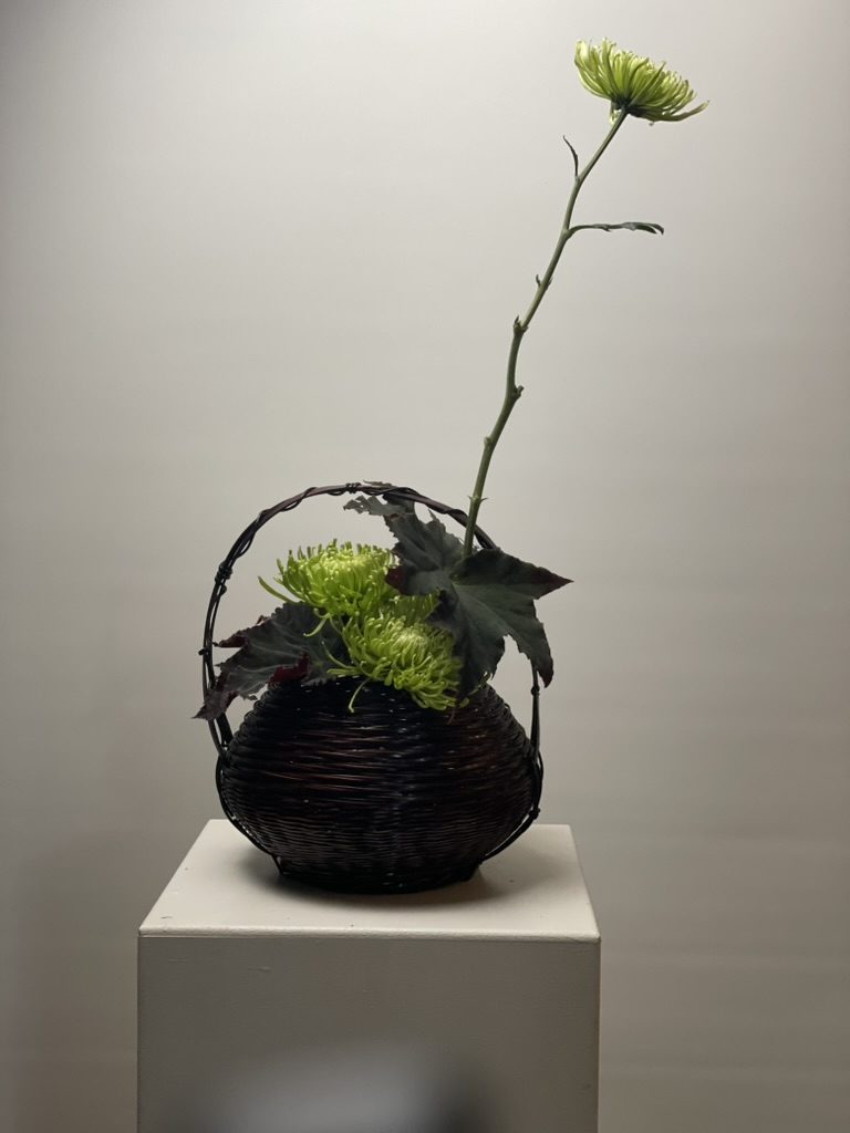 Black coffee begonia, green chrysanthemums & bamboo basket