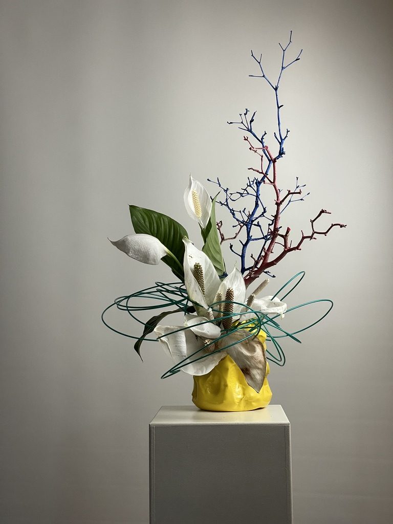 Peace lily, wire, dried branches & a self-made vase