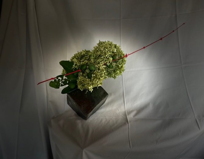 Dried hortensia, fig branches & colored bamboo