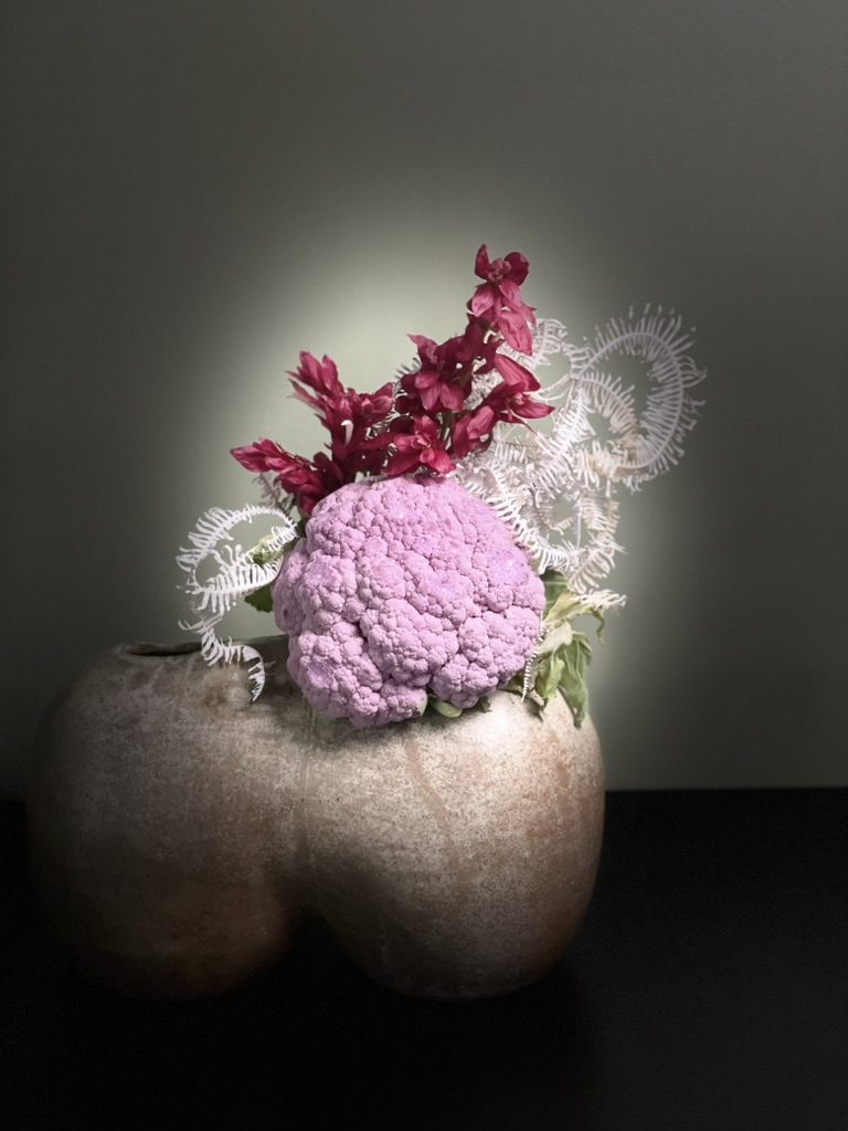Cauliflower, bleached fern & Brazilian red-cloaks