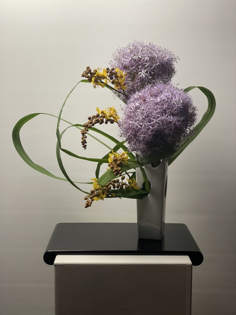Allium giganteum, walking iris leaves & leguminosae
