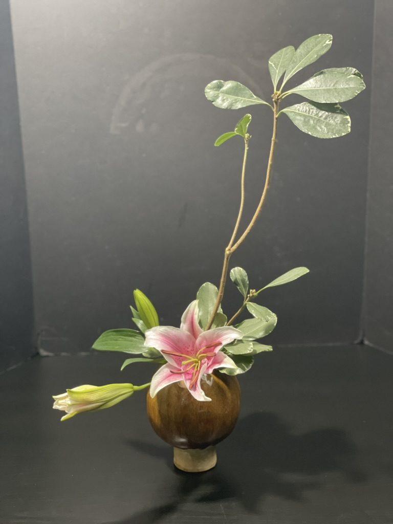 Lily & Australian laurel